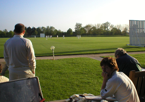 The field.