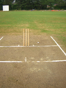 The pitch